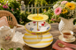 Sunshine Social